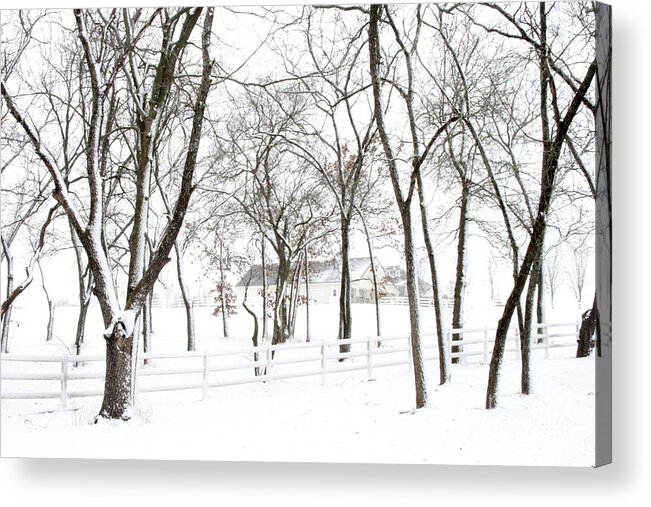 Winter Acrylic Print featuring the photograph Winter on the Farm by Crystal Nederman