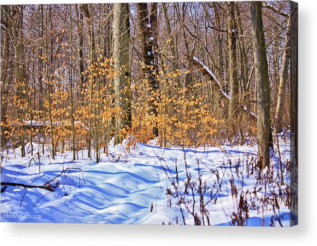 Seasonal Acrylic Print featuring the photograph Winter Scene 2014 by Mikki Cucuzzo