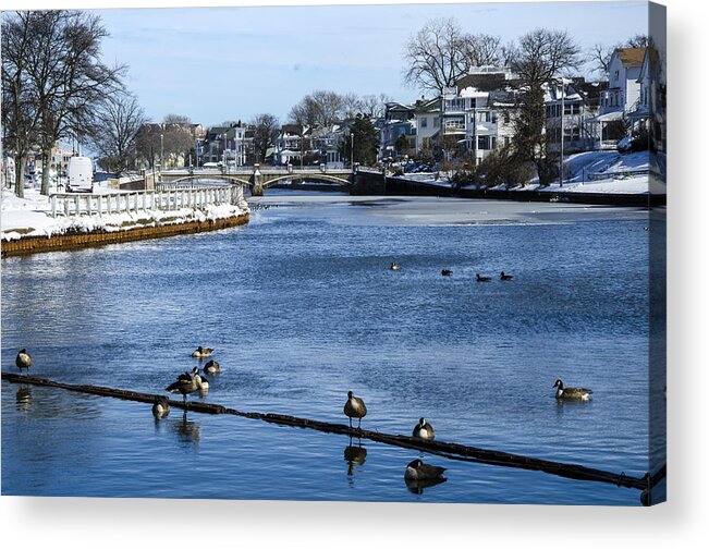 Geese Acrylic Print featuring the photograph Winter Scene Jersey Shore Town by Maureen E Ritter