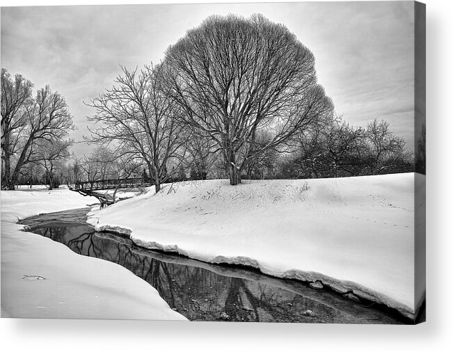 Tree Acrylic Print featuring the photograph Winter Stream by Eunice Gibb