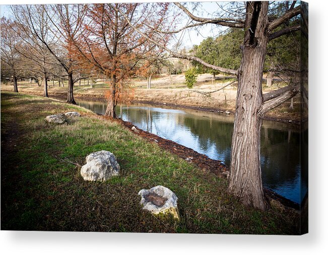 Austin Acrylic Print featuring the photograph Winter Trees by John Wadleigh