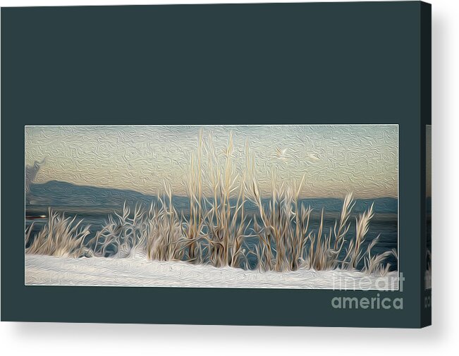 Winter Acrylic Print featuring the photograph Winter Weeds by Randi Grace Nilsberg