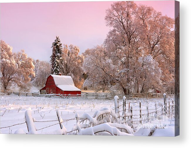 Snowy Winters Day Acrylic Print featuring the photograph Winters Glow by Beve Brown-Clark Photography
