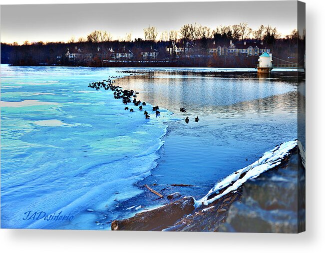 Ice Acrylic Print featuring the photograph Winter's Grip by Joseph Desiderio