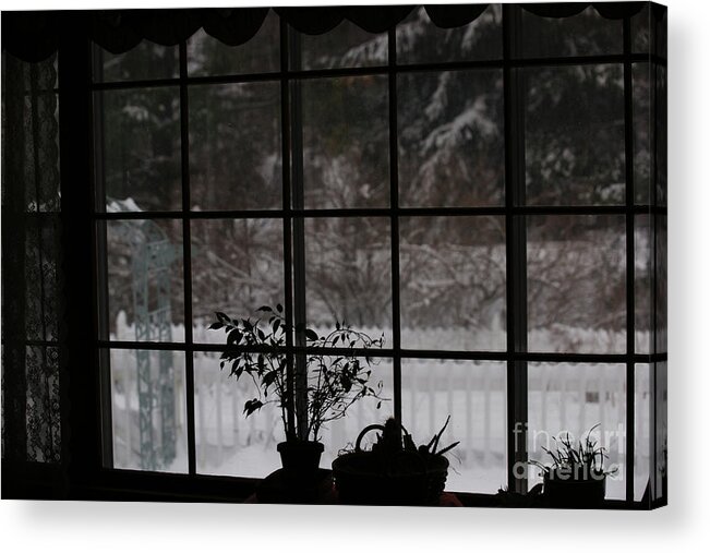 Reflection Acrylic Print featuring the photograph Winters Reflection by Linda Shafer