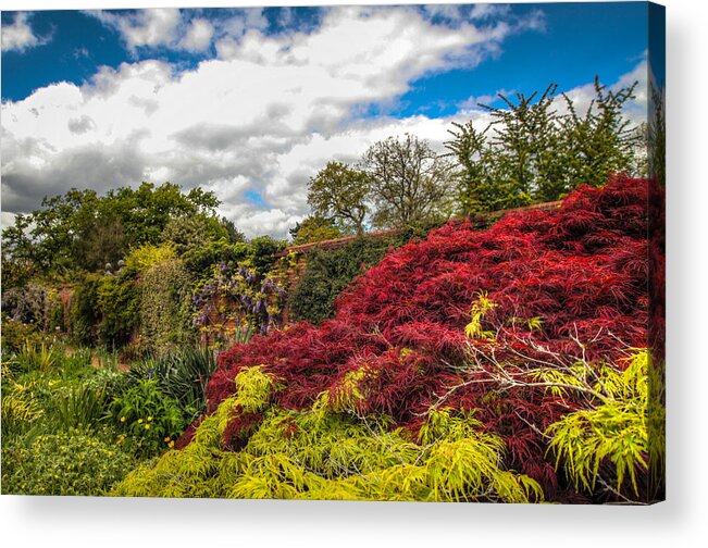 Hdr Acrylic Print featuring the photograph Wisley Garden Wall by Ross Henton