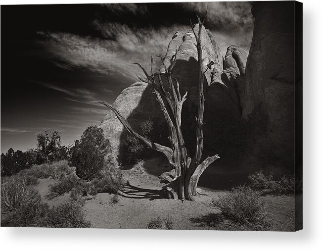 Utah Acrylic Print featuring the photograph Wood and Stone by Wendell Thompson