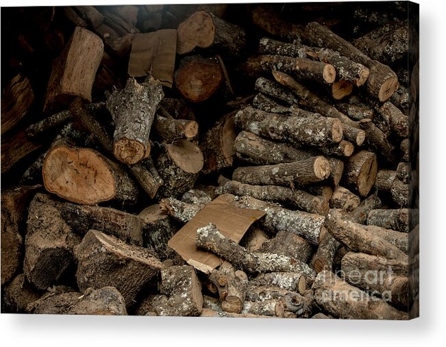 Wood Logs Acrylic Print featuring the photograph Wood Logs by Mina Isaac