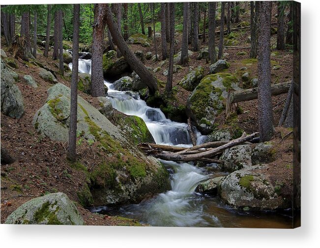 Chicago Creek Acrylic Print featuring the photograph Wooded Stream by Matt Helm