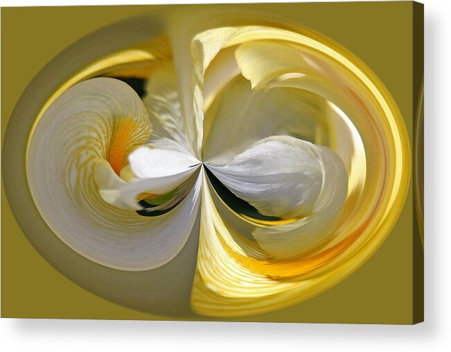 Flowers Acrylic Print featuring the photograph Yellow Iris Series 106 by Jim Baker