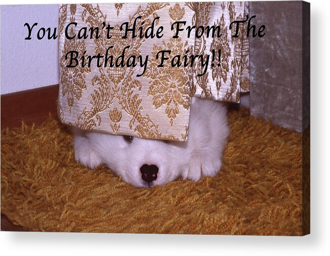 Birthday Acrylic Print featuring the photograph You Can't Hide Birthday Card by Ginny Barklow