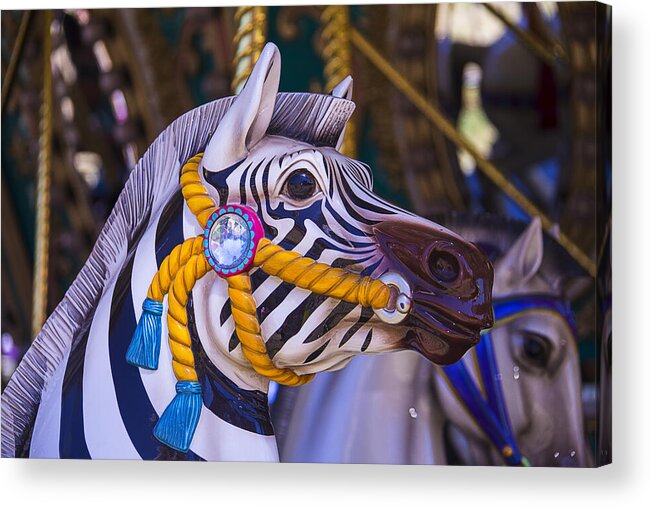 Zebra Acrylic Print featuring the photograph Zebra Carrousel Ride by Garry Gay