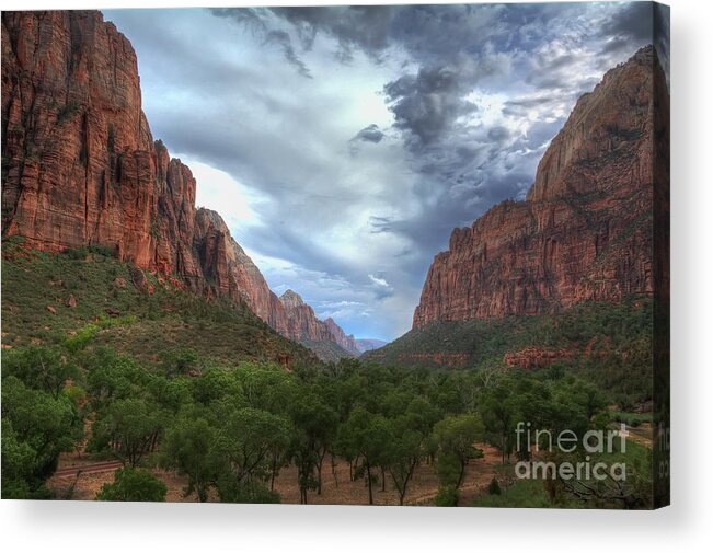 Virgin Acrylic Print featuring the photograph Zion National Park by Eddie Yerkish