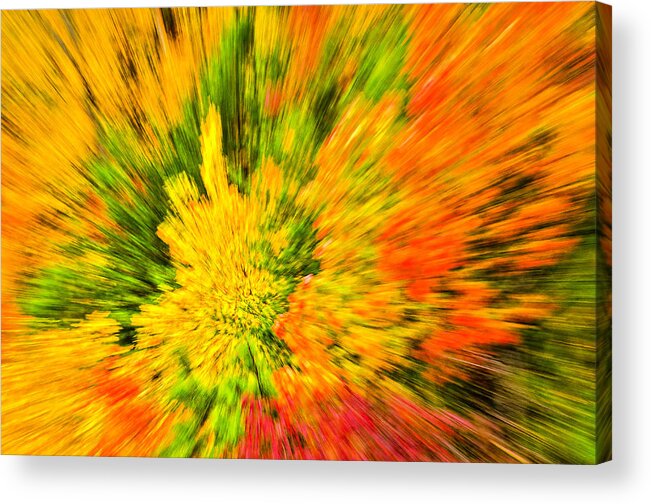 Autumn Acrylic Print featuring the photograph Zooming in on Autumn by Winnie Chrzanowski
