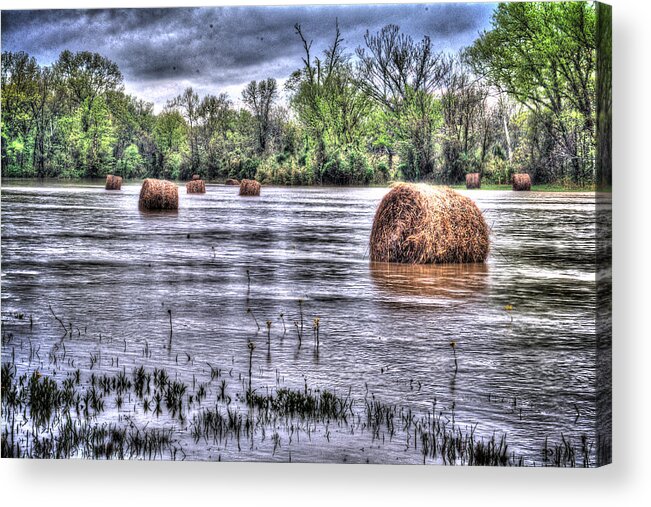 Farm Acrylic Print featuring the photograph 0804-3586 Flooded Hay by Randy Forrester