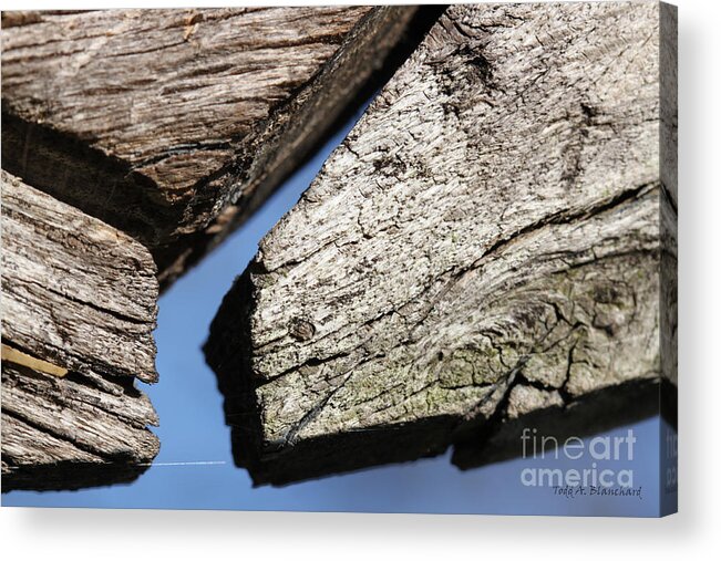 Abstract Acrylic Print featuring the photograph Abstract With Angles #1 by Todd Blanchard