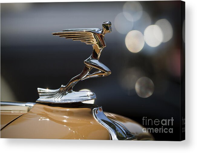 Classic Acrylic Print featuring the photograph Auburn #2 by Dennis Hedberg