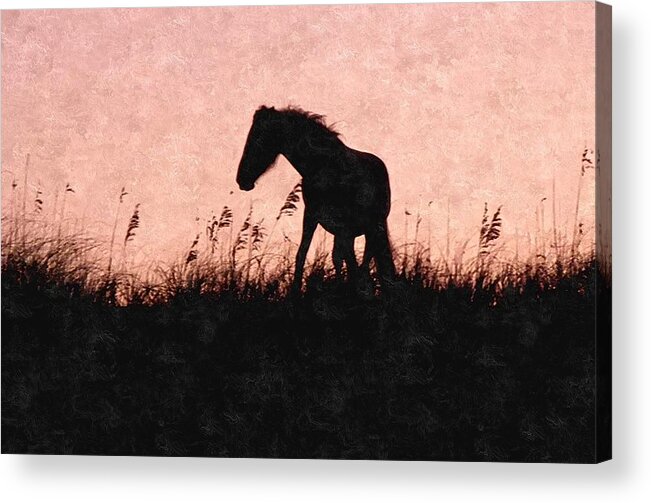 Mustang Acrylic Print featuring the photograph Captured Forever #1 by Kim Galluzzo