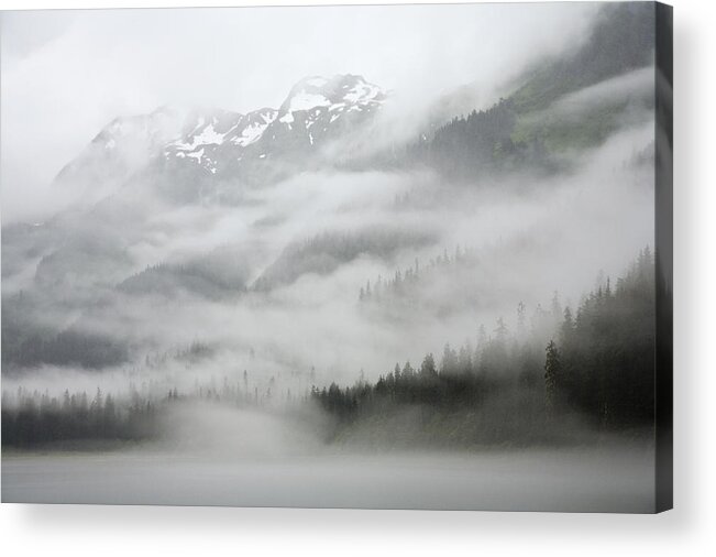 Mp Acrylic Print featuring the photograph Clouds And Mist Over Forest, Admiralty #1 by Konrad Wothe