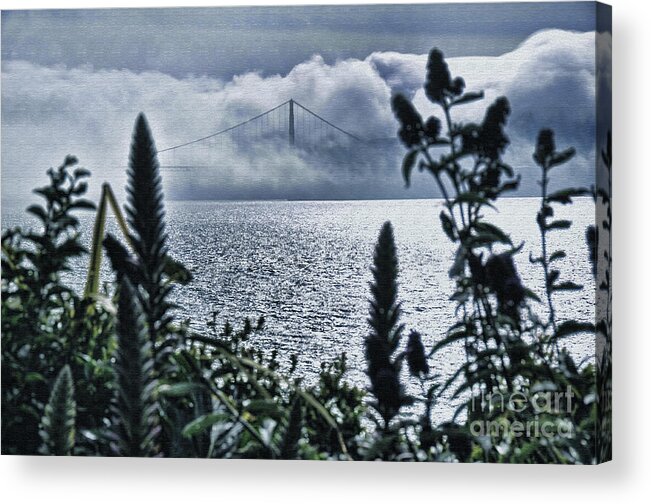 Nature Acrylic Print featuring the photograph Golden Gate Bridge - 1 by Mark Madere