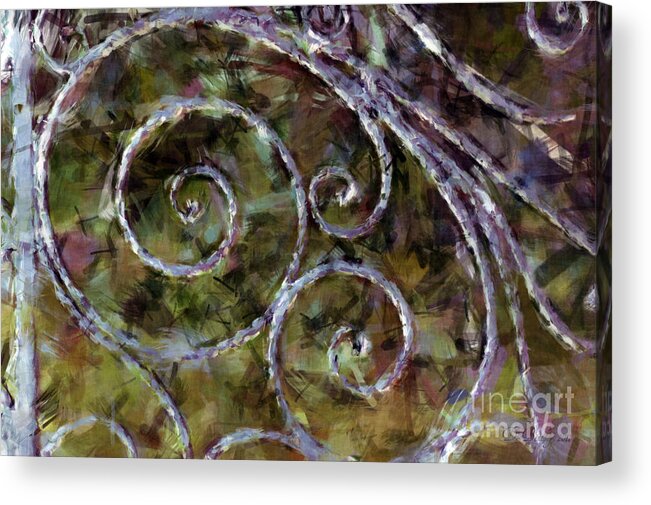 Gates Acrylic Print featuring the photograph Iron Gate #1 by Donna Bentley