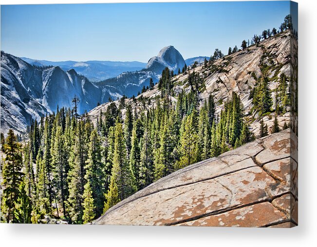 Yosemite Acrylic Print featuring the photograph Magnificence #1 by Bonnie Bruno