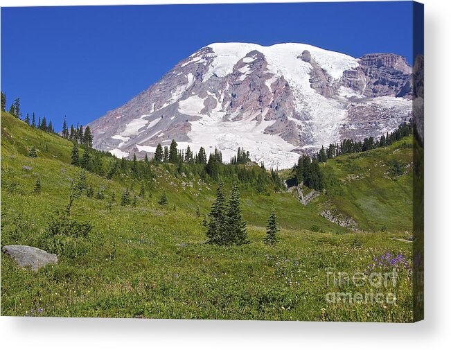 Photography Acrylic Print featuring the photograph Mount Rainier Meadow #1 by Sean Griffin