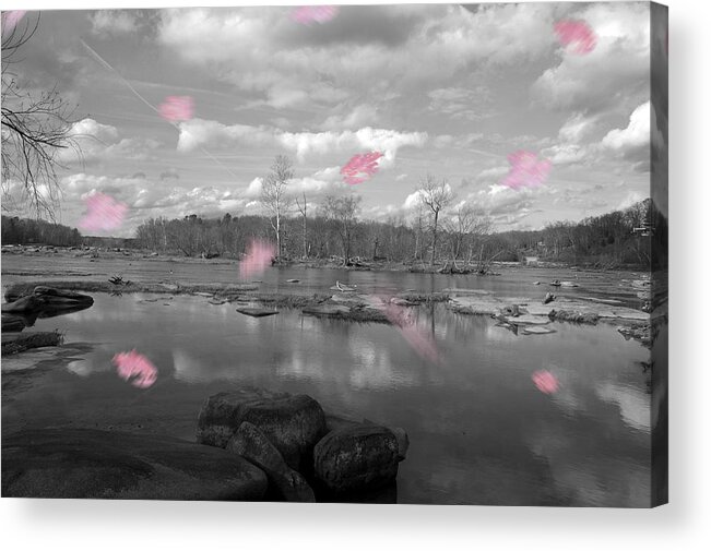 James Acrylic Print featuring the photograph Pink Fall #1 by Kelvin Booker