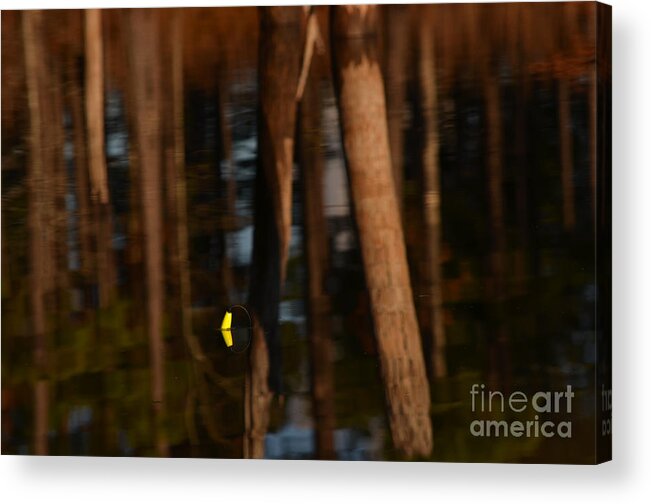 Reflection Acrylic Print featuring the photograph Reflection #2 by Donna Brown