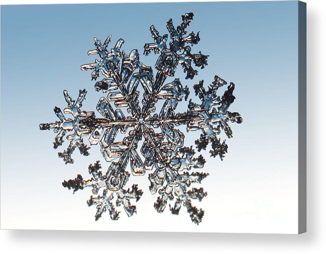 Snowflake Acrylic Print featuring the photograph Snowflake #175 by Ted Kinsman