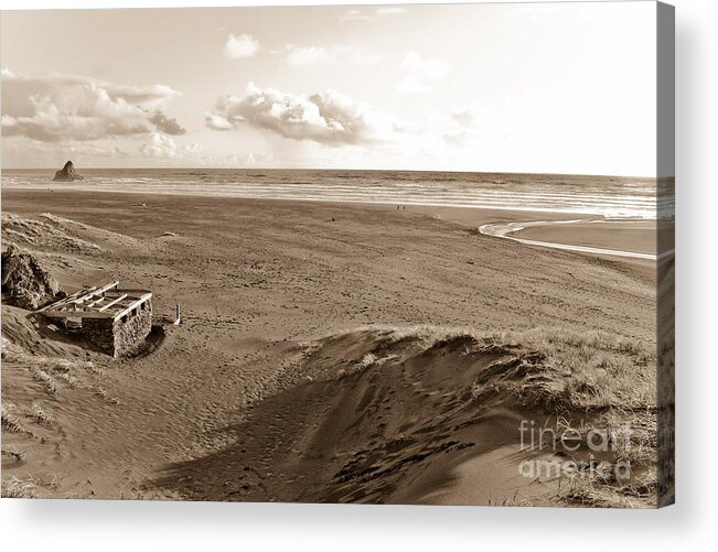 Beach Acrylic Print featuring the photograph Karekare beach in New Zealand #2 by Yurix Sardinelly