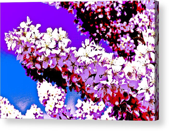 Cherry Acrylic Print featuring the digital art Cherry blossom art #3 by David Pyatt