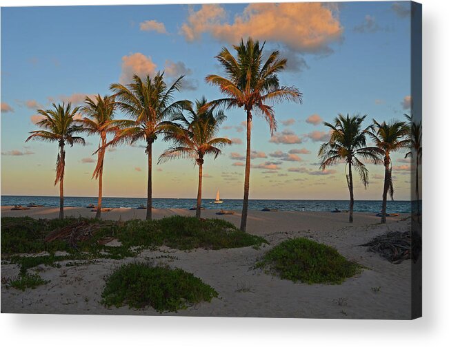  Acrylic Print featuring the photograph 30- Palms In Paradise by Joseph Keane