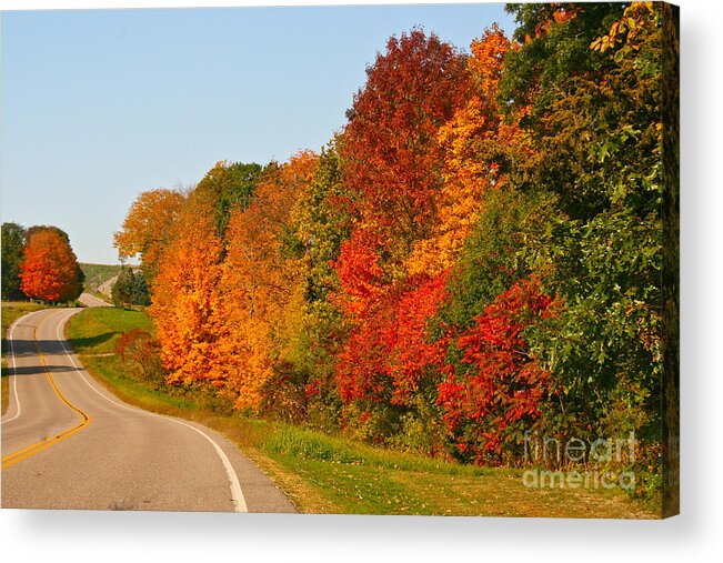 Landscape Acrylic Print featuring the photograph A Fine Fall Day by Joan McArthur