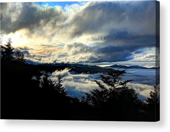 Nature Acrylic Print featuring the photograph Above Below and Beyond by Doug McPherson