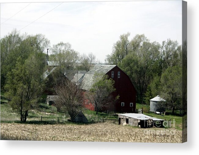 Farmland Acrylic Print featuring the photograph An old Barn with surrounding spring green. by Yumi Johnson