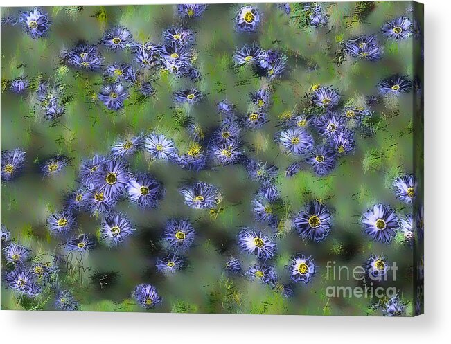 Flower Acrylic Print featuring the photograph Another Something For You by Leo Symon