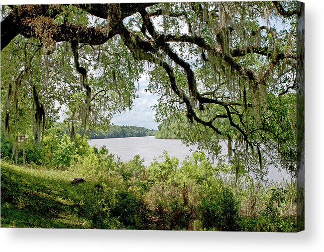 Apalachicola Acrylic Print featuring the photograph Apalachicola River by Paul Mashburn