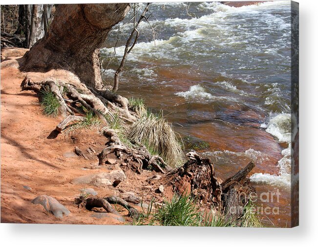 Arizona Acrylic Print featuring the photograph Arizona Red Water by Debbie Hart