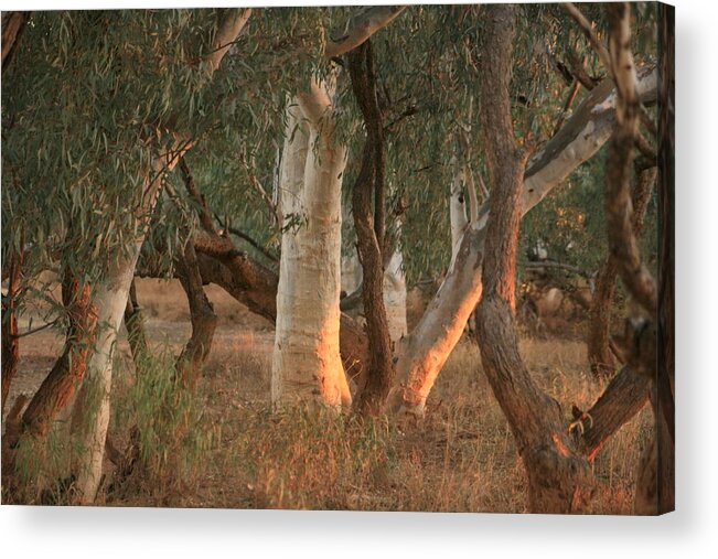 Landscape Acrylic Print featuring the painting At Day's End by Jan Lawnikanis