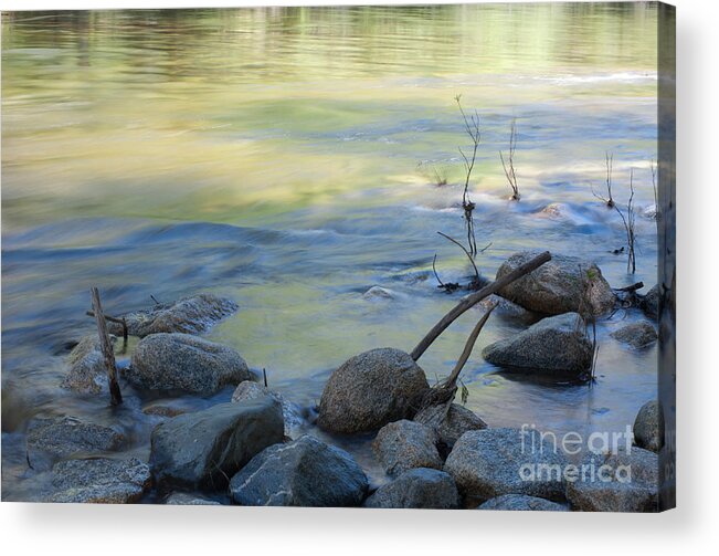 Merced River Acrylic Print featuring the photograph At Merced Rive by Catherine Lau