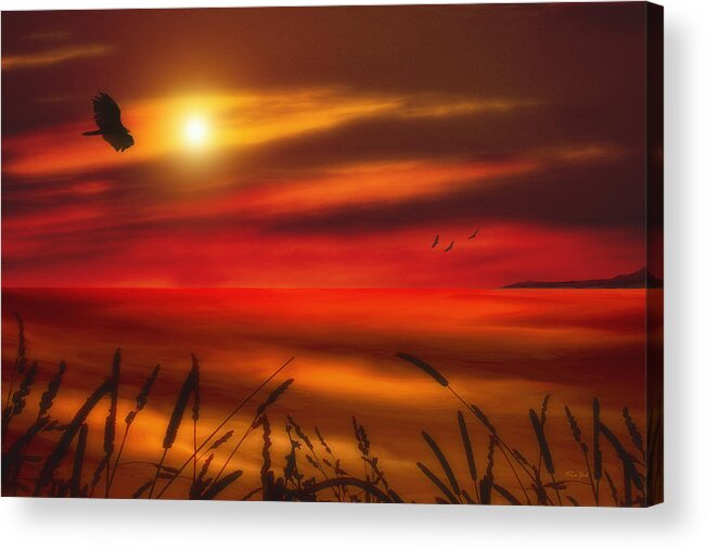 Sunset Acrylic Print featuring the photograph August Sunset by Tom York Images
