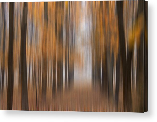 Trees Acrylic Print featuring the photograph Autumn Abstract by Darlene Bushue