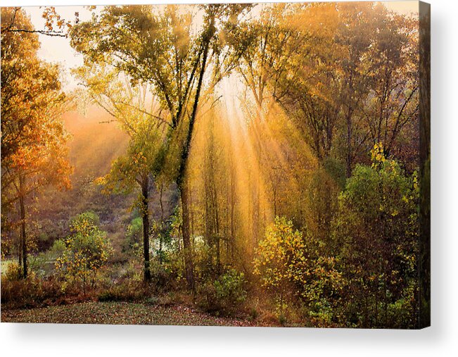 Golden Rays Acrylic Print featuring the photograph Autumn Begins by Kristin Elmquist