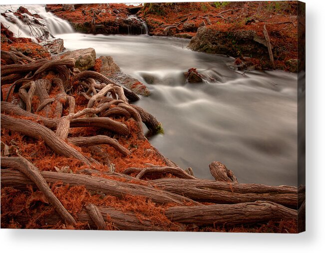 Guadalupe River Acrylic Print featuring the photograph Autumn By The River by Paul Huchton