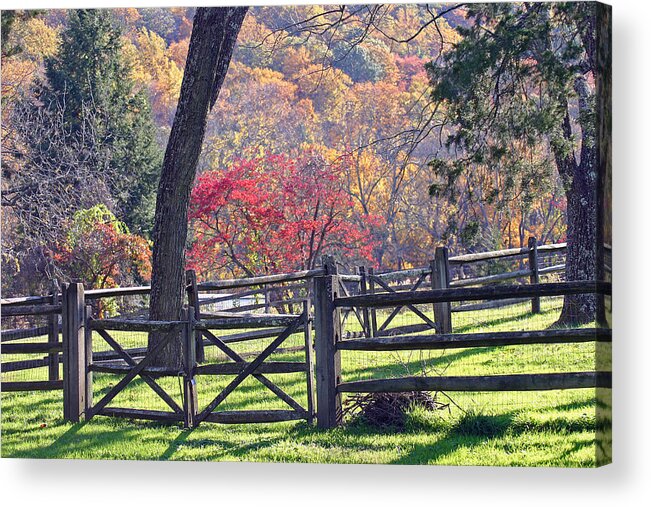 Autumn Acrylic Print featuring the photograph Autumn Fences by David Rucker
