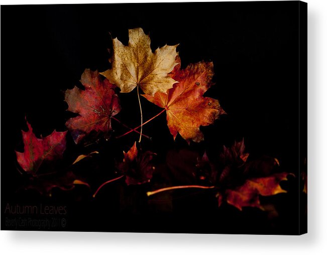 Autumn Acrylic Print featuring the photograph Autumn Leaves by B Cash