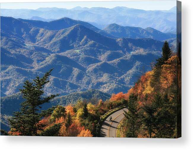 Blue Acrylic Print featuring the photograph Autumn on the Blue Ridge Parkway by Lynne Jenkins