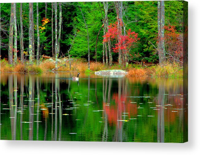 Lake View Acrylic Print featuring the digital art Autumn Reflections by Aron Chervin