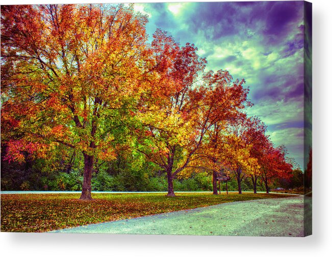 Ahden Knight Hampton Memorial Lake Acrylic Print featuring the photograph Autumn Tree Line at Busch by Bill and Linda Tiepelman